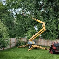 Best Tree Maintenance Programs  in Tarentum, PA